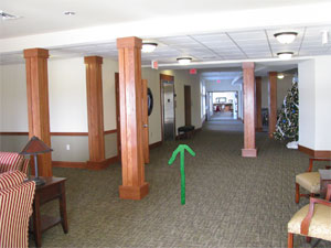Elevator and Stairs
